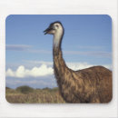 Search for rarely mousepads Nature