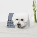 Search for bichon frise birthday cards Cute