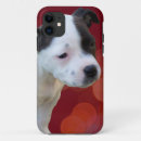 Search for black bull iphone cases Staffy