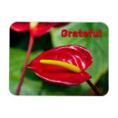 Recherche de peace magnets Rouge