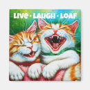 Search for meme magnets Kitten