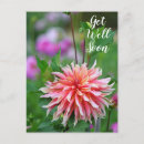 Search for getting photography Flower