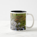 Recherche de ruisseau tasses Parc national