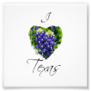 Recherche de le texas photographie Fleur sauvage