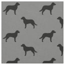 Search for chesapeake Chesapeake bay retriever