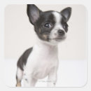 Search for fabric stickers Animal