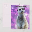 Recherche de suricate vœux cartes Animal