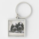 Search for english cocker spaniel keychains Animal