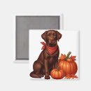 Recherche de chocolate labrador gifts Toute personne
