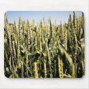 Search for wheate mousepads Green