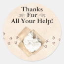 Recherche de pattes de chat autocollants Merci