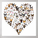 Search for english bull posters Bully