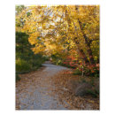 Recherche de chemin de jardin posters Automne