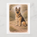 Recherche de berger cartes postales Antique