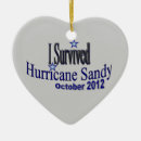 Search for hurricane ornaments Sandy