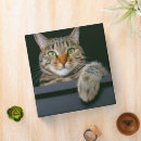 Search for tabby cat binders Kitten