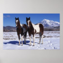 Recherche de cheval de montagne posters Peinture