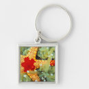 Search for sea stars keychains Ocean