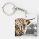 Search for highland cattle keychains Scotland