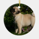 Search for mops ornaments Standing