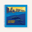 Search for channel islands posters Anacapa island