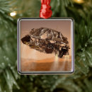 Search for descendants ornaments Lander