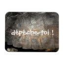 Recherche de tortue magnets Écaille de tortue