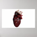 Search for three dimensional posters Cutout