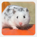 Search for black and white spot stickers Cute