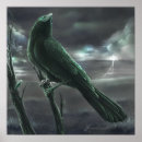 Search for dark crow art posters Fantasy