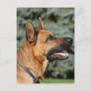 Search for deutscher postcards Headshot