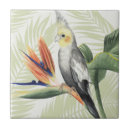 Recherche de oiseaux tropicaux carreaux Coloré