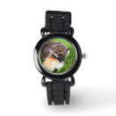 Search for mammal watches Wild animal