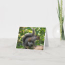 Search for gray squirrel cards Grey