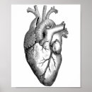 Search for anatomical heart art Nurse