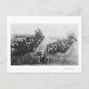 Search for combination postcards Harvester