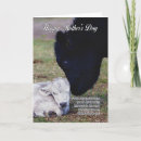 Search for cow mothers day cards Calf
