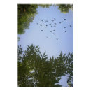 Recherche de oiseaux bleus posters Toute personne