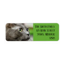 Search for russian return address labels Cat