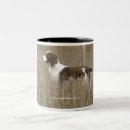 Recherche de epagneul tasses Oiseau