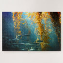 Search for kelp Underwater