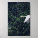 Search for bird life posters Birds