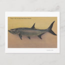 Search for tarpon postcards Lantern