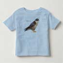 Search for peregrine falcon tshirts Raptor