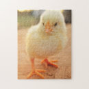 Recherche de poussins puzzles Animal