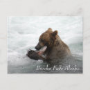 Search for brook postcards Alaska