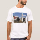 Recherche de silo tshirts Amérique