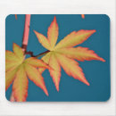 Search for maple mousepads Japanese