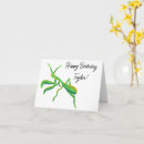 Search for praying mantis cards Bugs