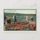 Search for vintage hawaii postcards Antique